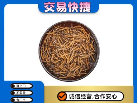 重庆长寿区高价回收散虫草
